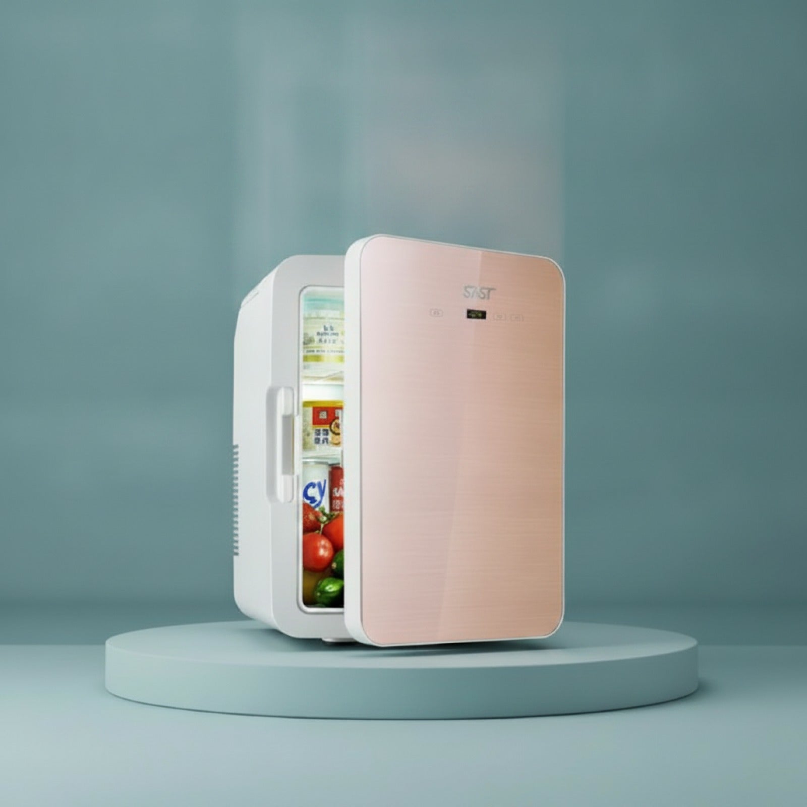 12L Portable Mini Refrigerator